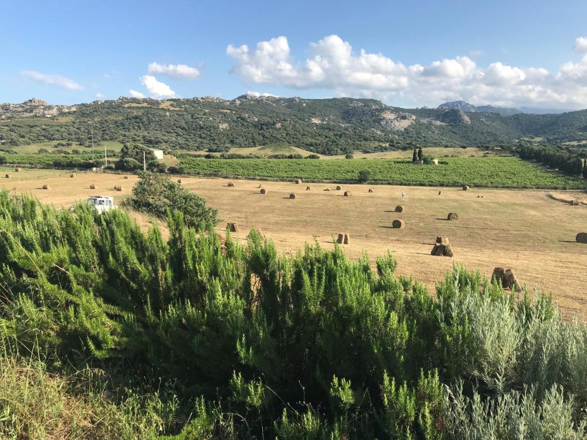 San Leonardo Country House Calangianus Dış mekan fotoğraf